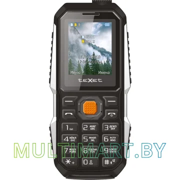 Мобильный телефон TeXet TM-D429 (черный)